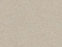 D-012 LIGHTBROWN