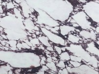 5755 Калакатта Виола