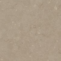 Coral Clay