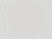 Desert Silver